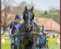 2POSIEUX 0133